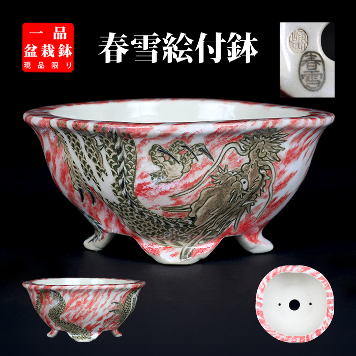 春雪色絵龍図変わり鉢