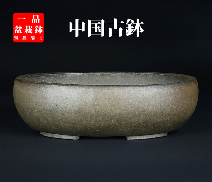 紫泥楕円鉢