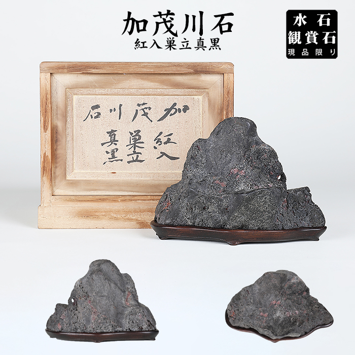 加茂川紅入巣立真黒石