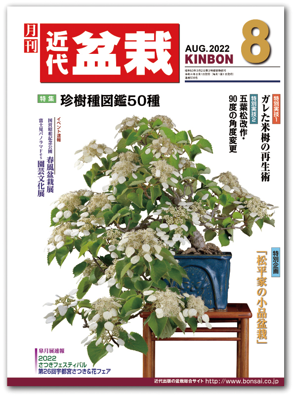 月刊「近代盆栽」2022年8月号