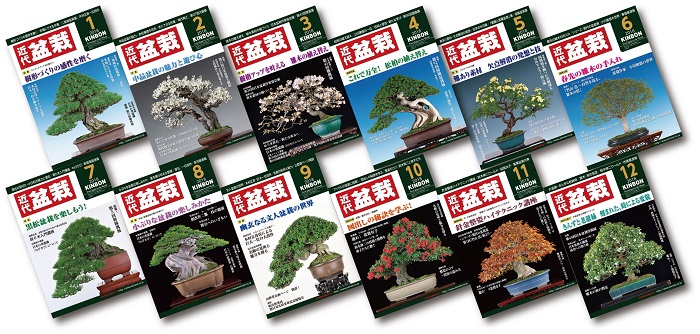 月刊「近代盆栽」年間購読【1年分12冊】