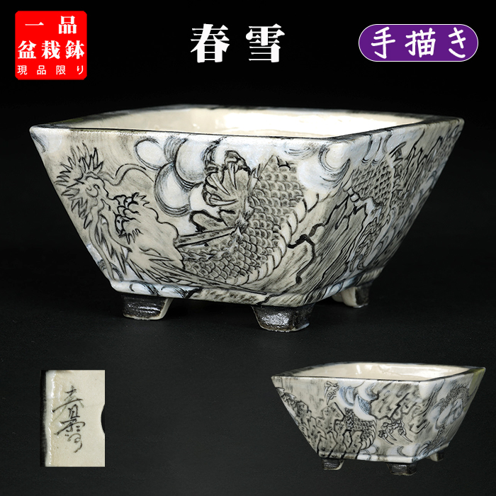 春雪墨絵龍図正方鉢