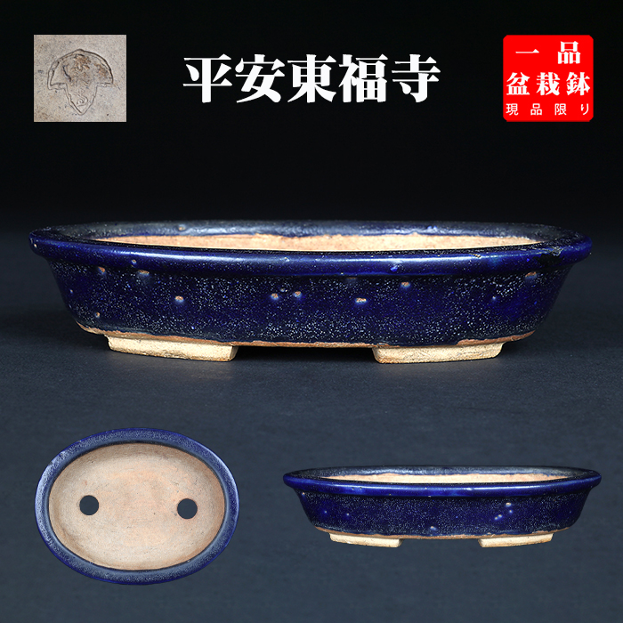 東福寺瑠璃釉楕円鉢