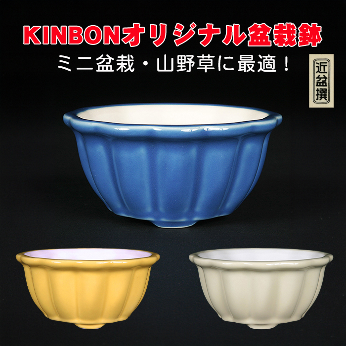 KINBONオリジナル盆栽鉢 輪花型