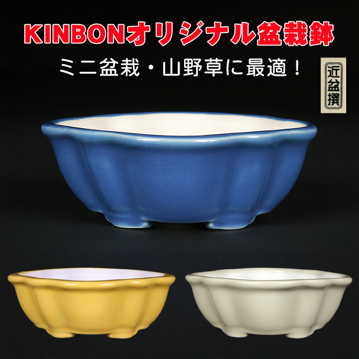KINBONオリジナル盆栽鉢 木瓜型