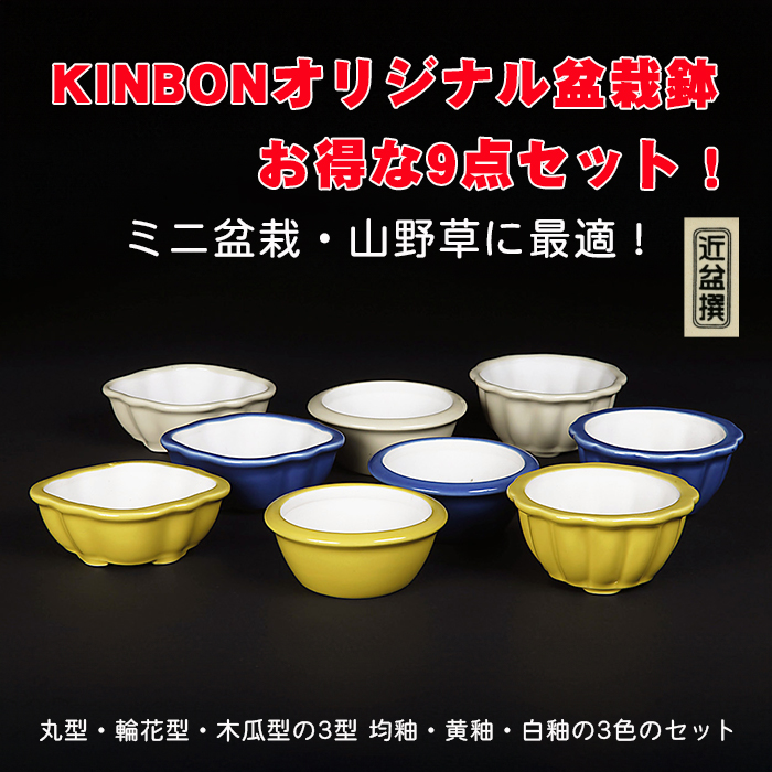 KINBONオリジナル盆栽鉢9点セット