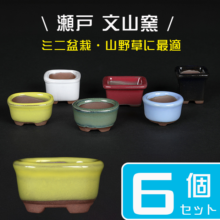 瀬戸焼文山窯色豆鉢６点セット