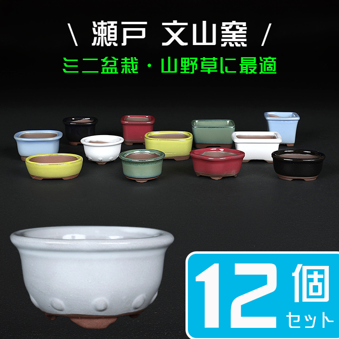 瀬戸焼文山窯色小鉢12点セット