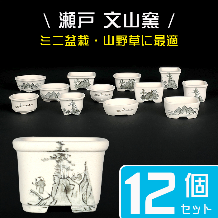 瀬戸焼文山窯絵付小鉢12点セット