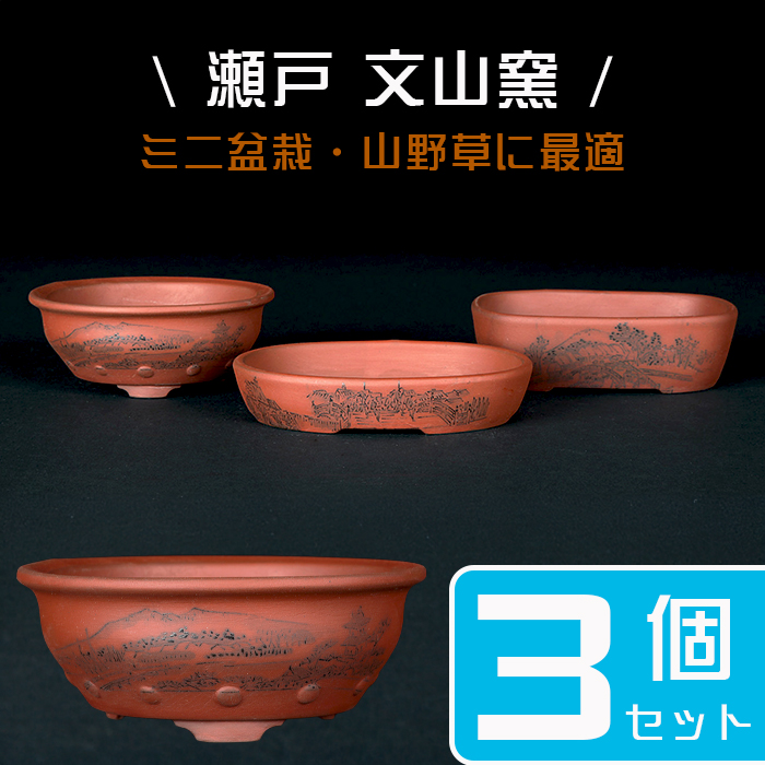 瀬戸焼文山窯朱泥絵付鉢3点セット