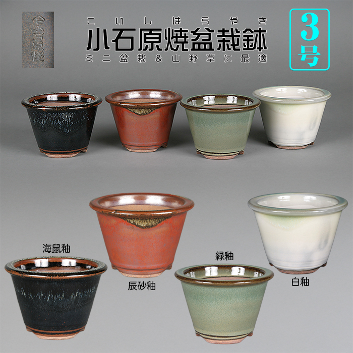 小石原焼3号深外縁丸鉢