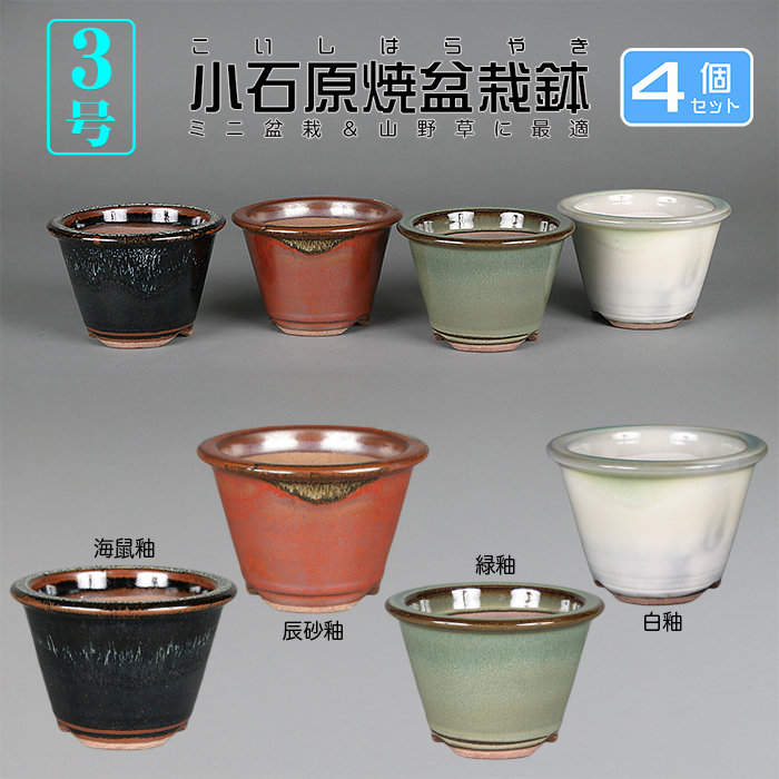 小石原焼3号深外縁丸鉢4点セット