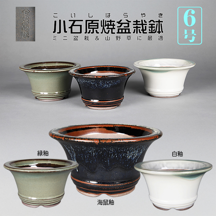 小石原焼6号深外縁丸鉢