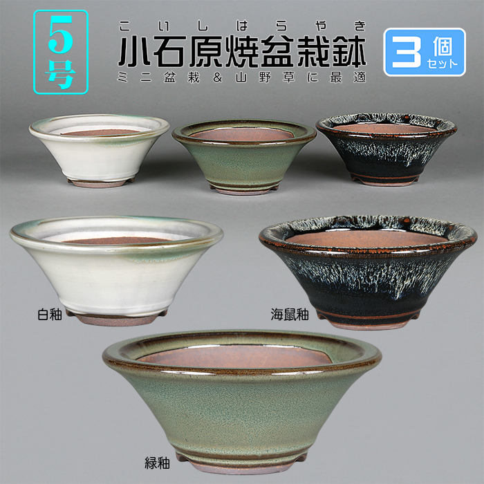 小石原焼5号陣笠型丸鉢3点セット
