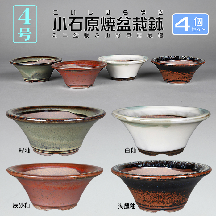 小石原焼4号陣笠型丸鉢4点セット