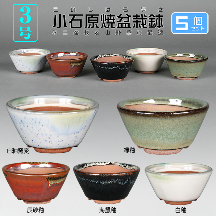 小石原焼3号切立丸鉢5点セット