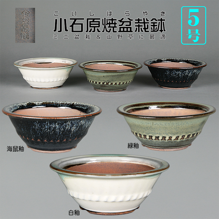 小石原焼5号胴縄丸鉢