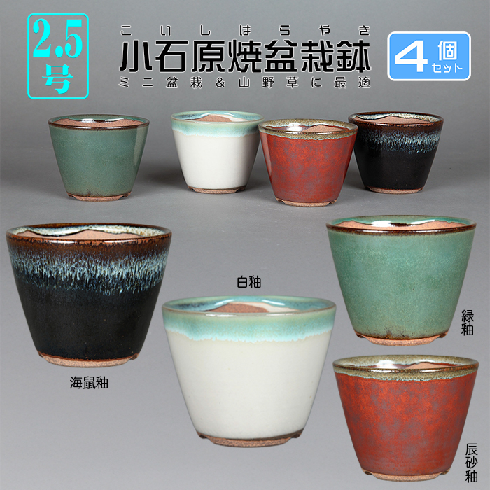 小石原焼2.5号深切立丸鉢4点セット