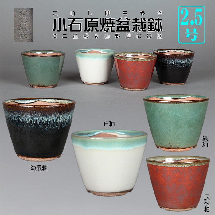 小石原焼2.5号深切立丸鉢