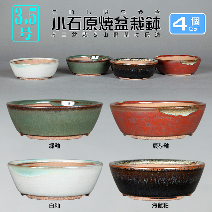 小石原焼3.5号切立丸鉢4点セット