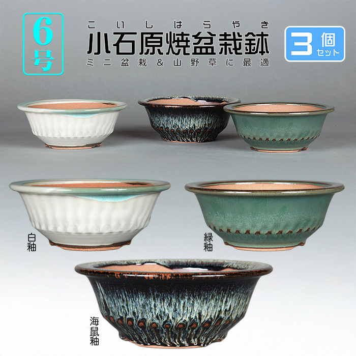 小石原焼6号胴縄丸鉢3点セット
