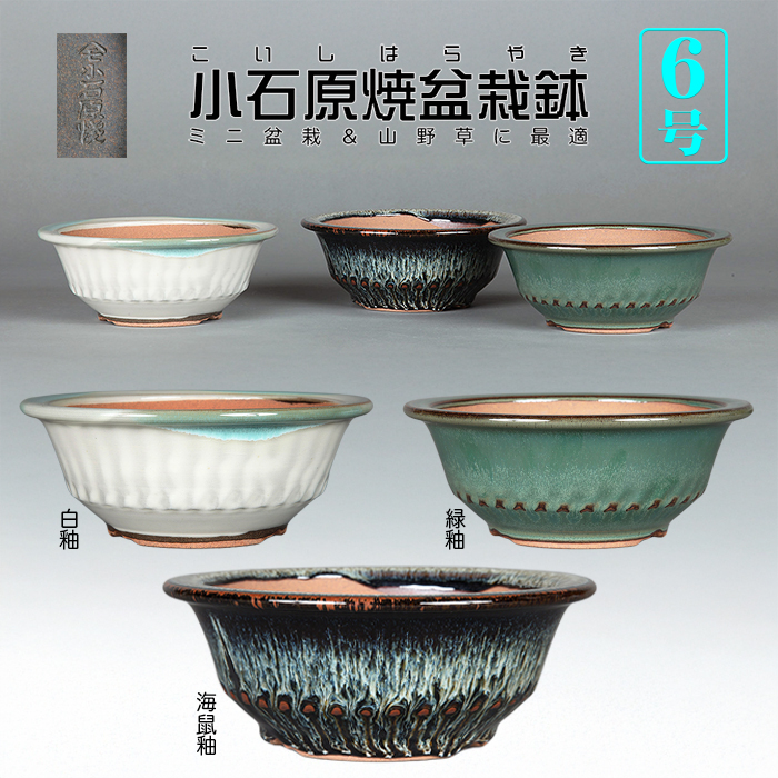 小石原焼6号胴縄丸鉢