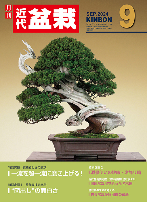 月刊「近代盆栽」2024年9月号
