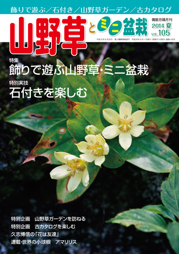 隔月刊「山野草とミニ盆栽」14年夏号