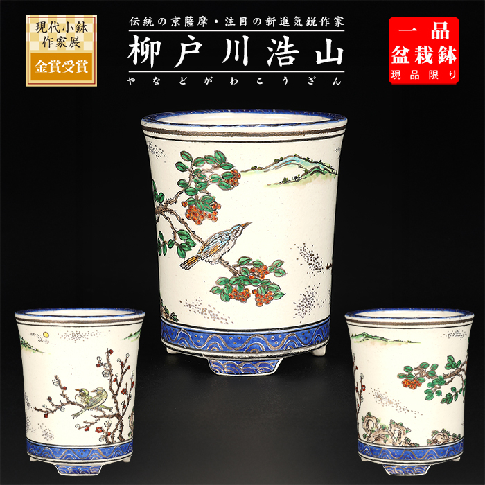柳戸川浩山花鳥図丸鉢