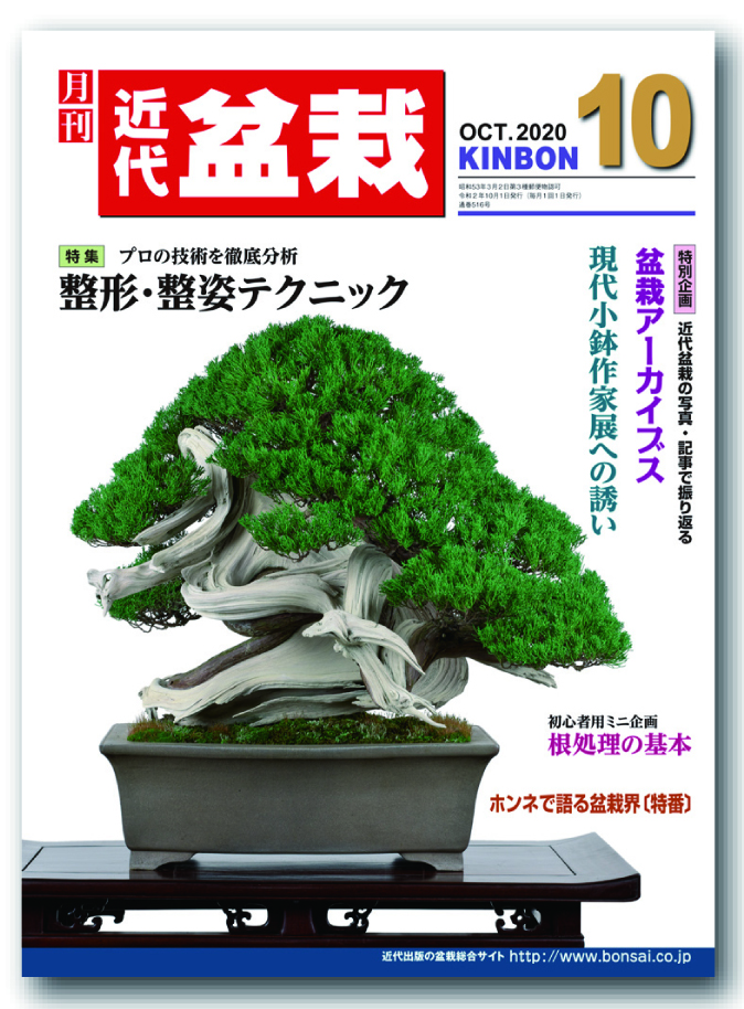 月刊「近代盆栽」2020年10月号