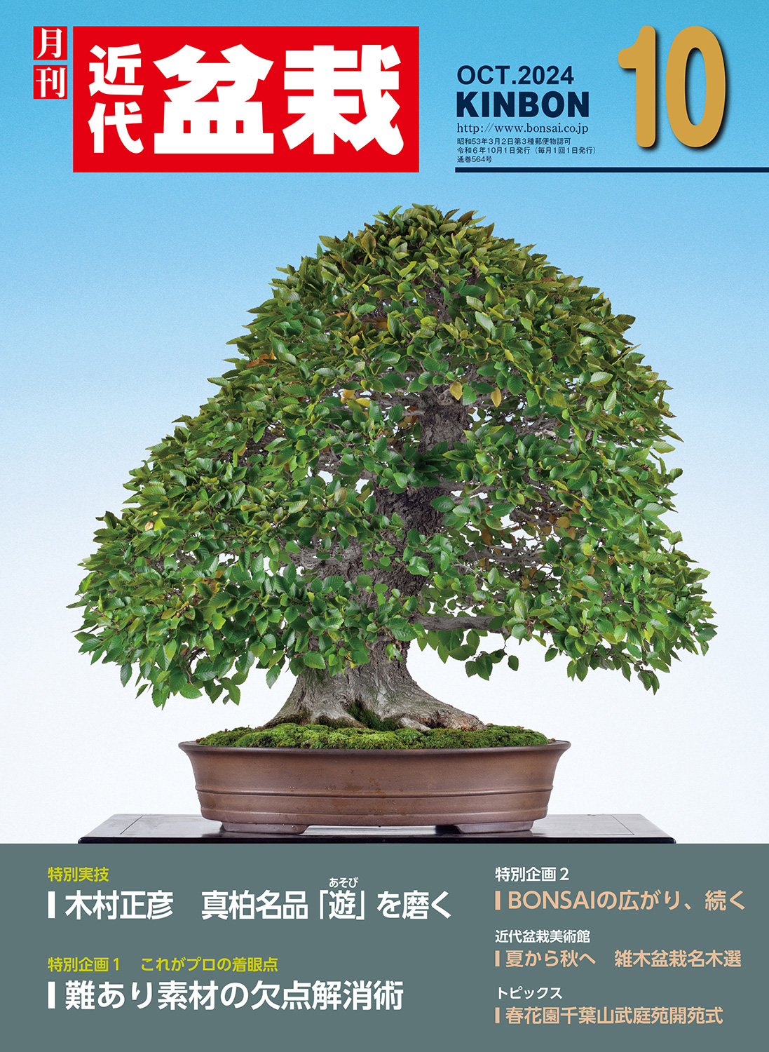月刊「近代盆栽」2024年10月号