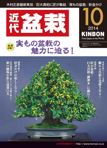 月刊「近代盆栽」2014年10月号