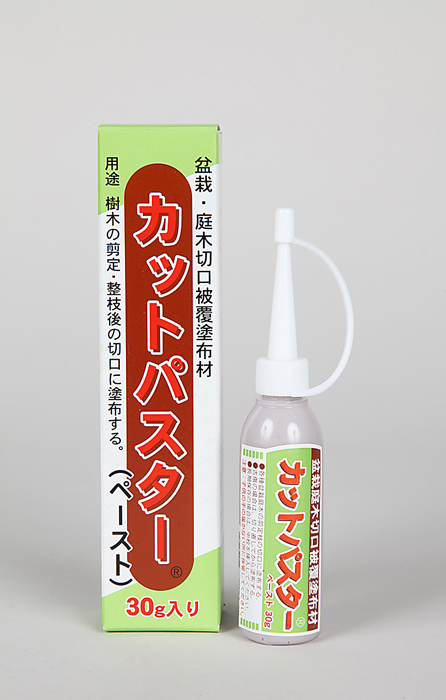 カットパスターペースト　30g