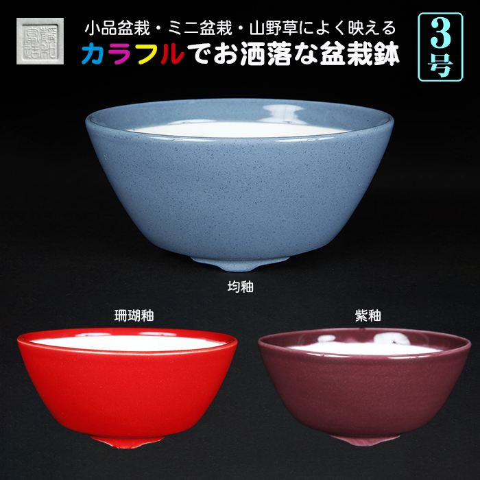 静和富造3号椀型丸鉢