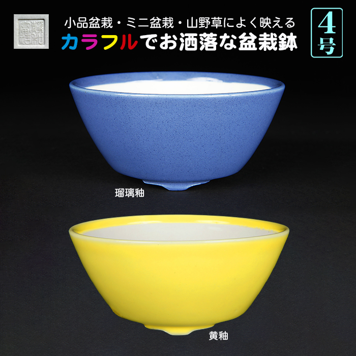 静和富造4号椀型丸鉢