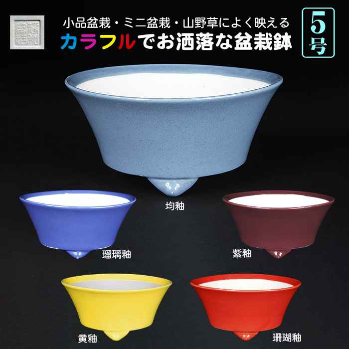 静和富造5号反型丸鉢
