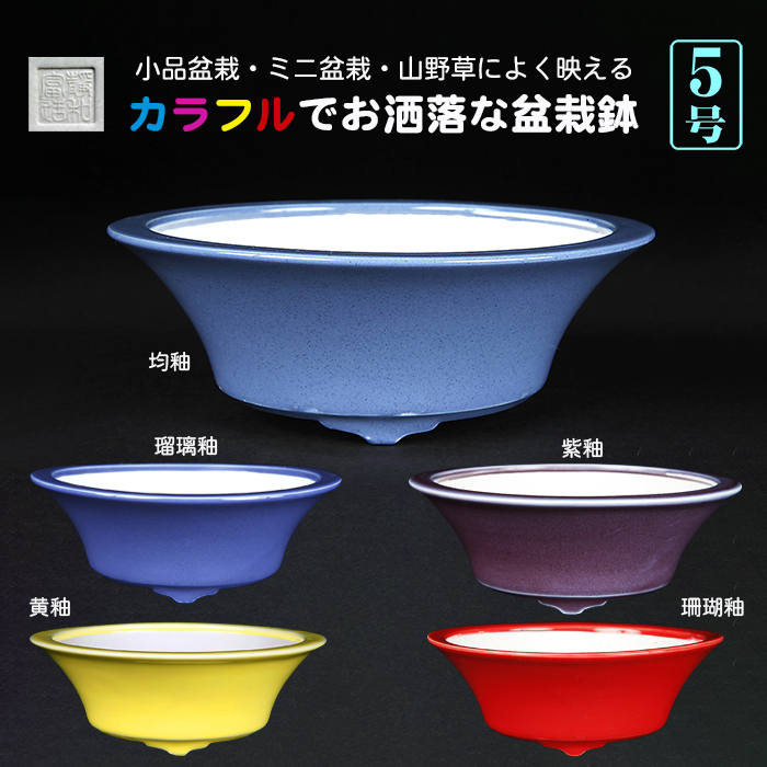 静和富造5号反型丸鉢