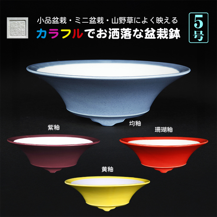 静和富造5号反型浅丸鉢