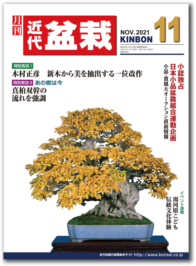 月刊「近代盆栽」2021年11月号