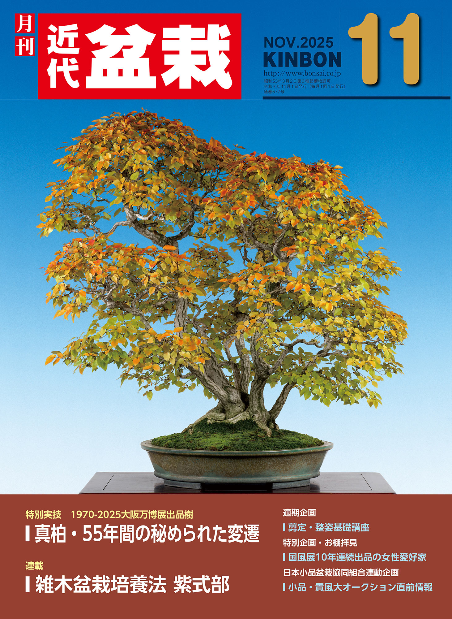 月刊「近代盆栽」2025年11月号