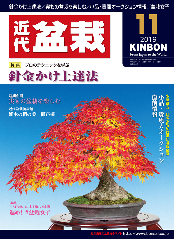 月刊「近代盆栽」2019年11月号