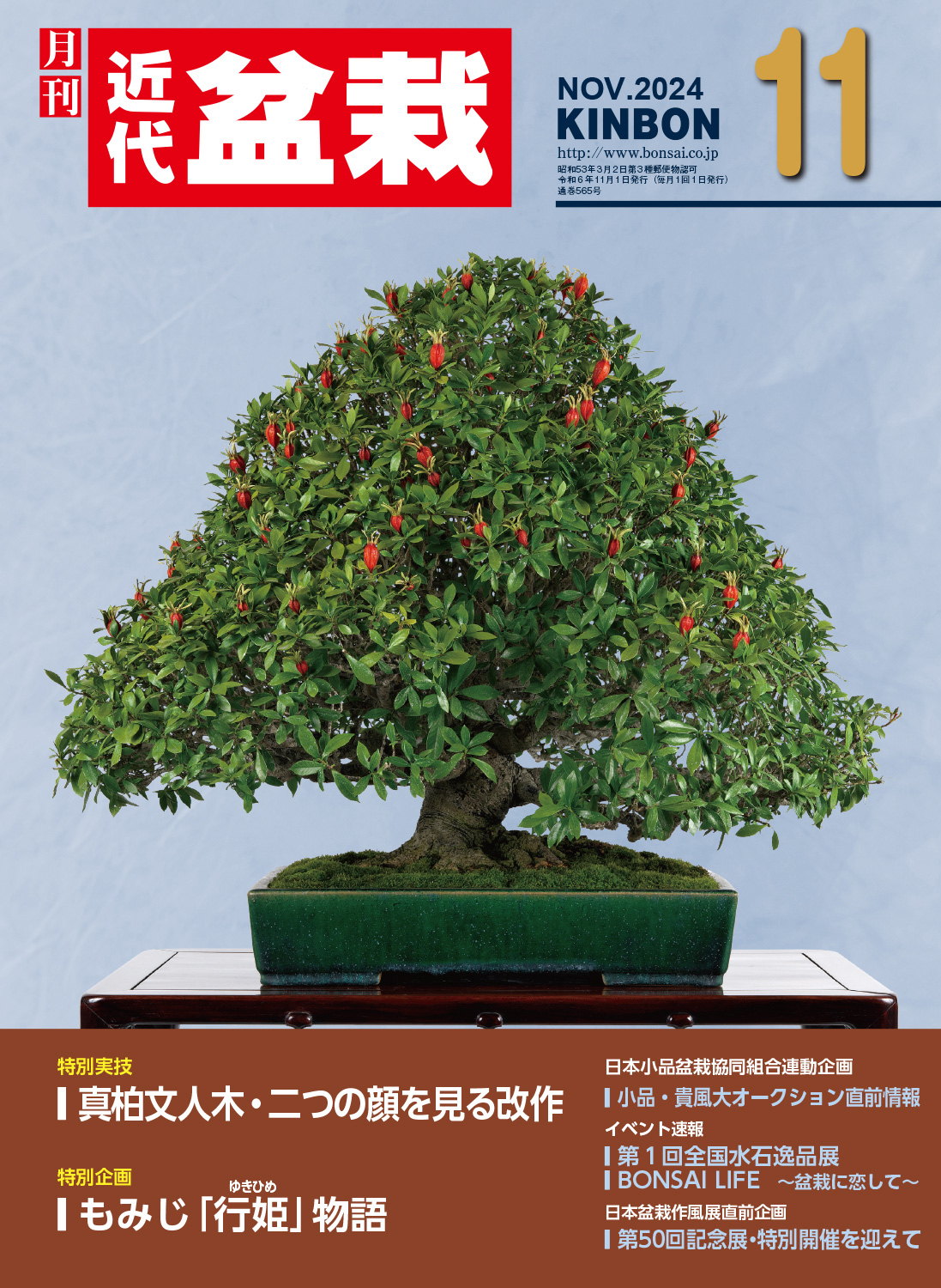 月刊「近代盆栽」2024年11月号