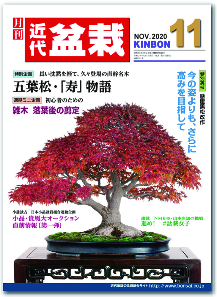 月刊「近代盆栽」2020年11月号