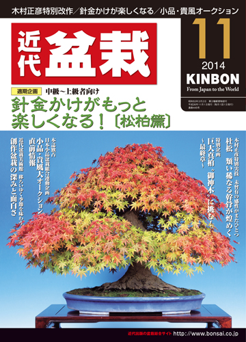 月刊「近代盆栽」2014年11月号