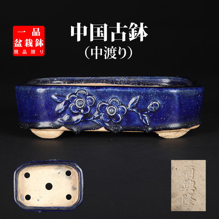 広東瑠璃釉浮彫長方鉢〔有興隆〕