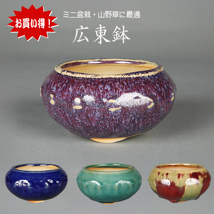 広東色小鉢