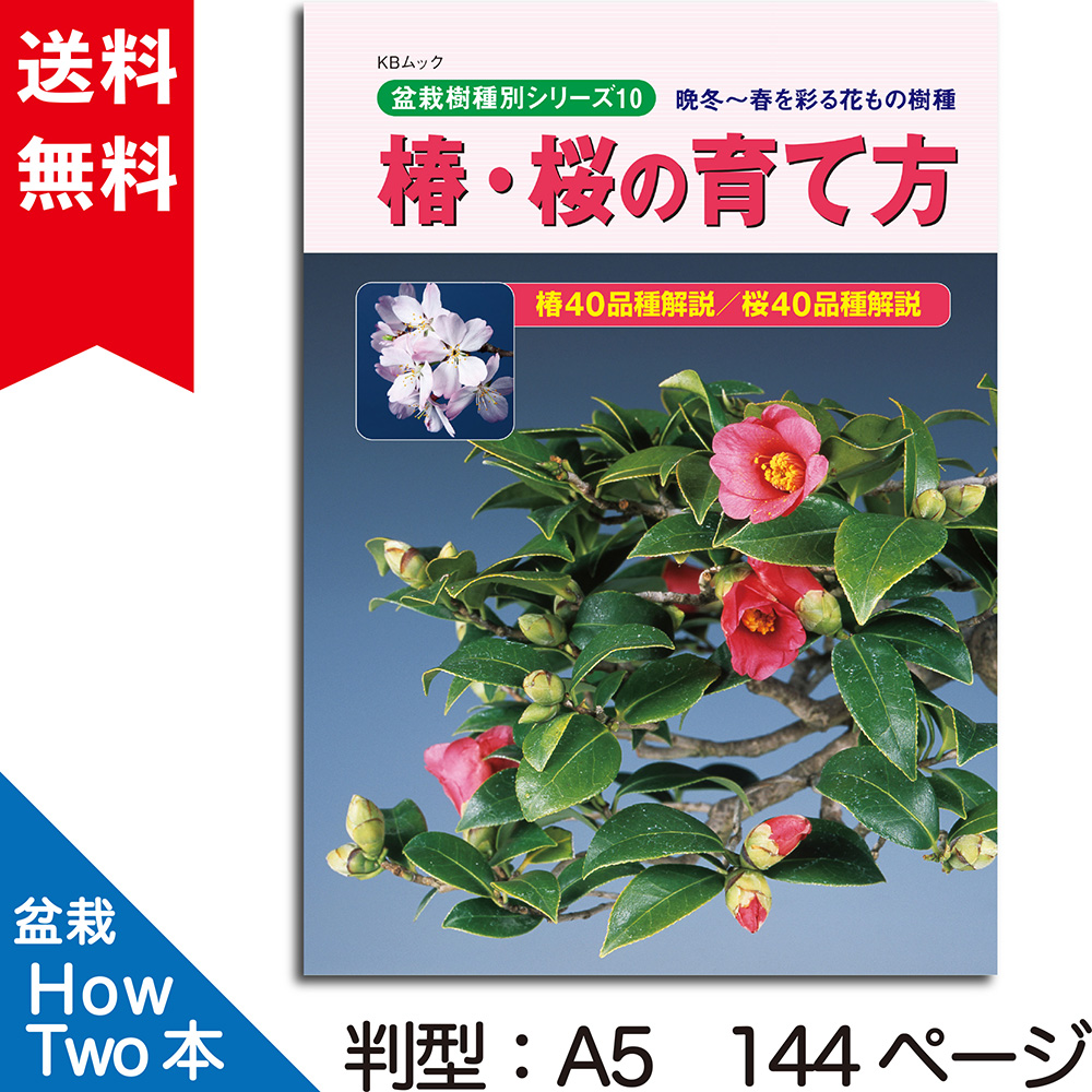 椿・桜の育て方