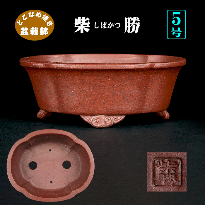 柴勝外縁木瓜式鉢