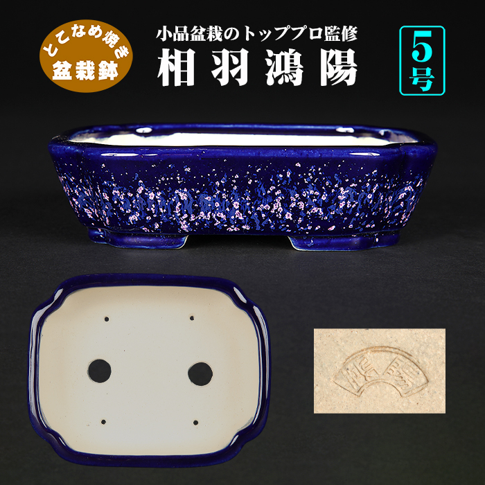 鴻陽瑠璃ピンク結晶釉隅入長方鉢