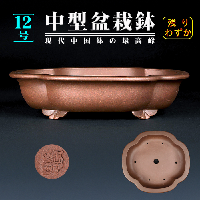 紫泥外縁木瓜式鉢